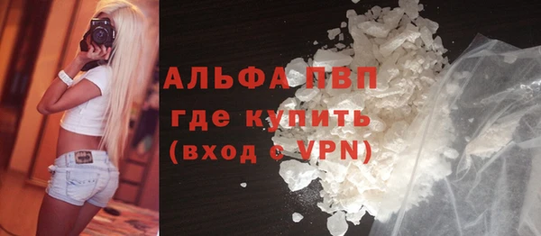 твердый Михайлов
