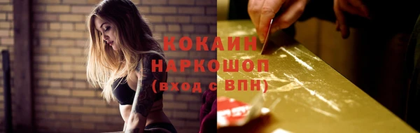 твердый Михайлов