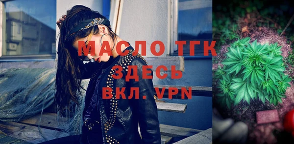твердый Михайлов