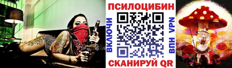 Галлюциногенные грибы MAGIC MUSHROOMS  Циолковский 
